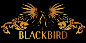 Blackbird Finance - Brisbane